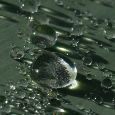 Allerton Gardens Kauai droplets; photo by Richard Bilow; courtesy of ETG;