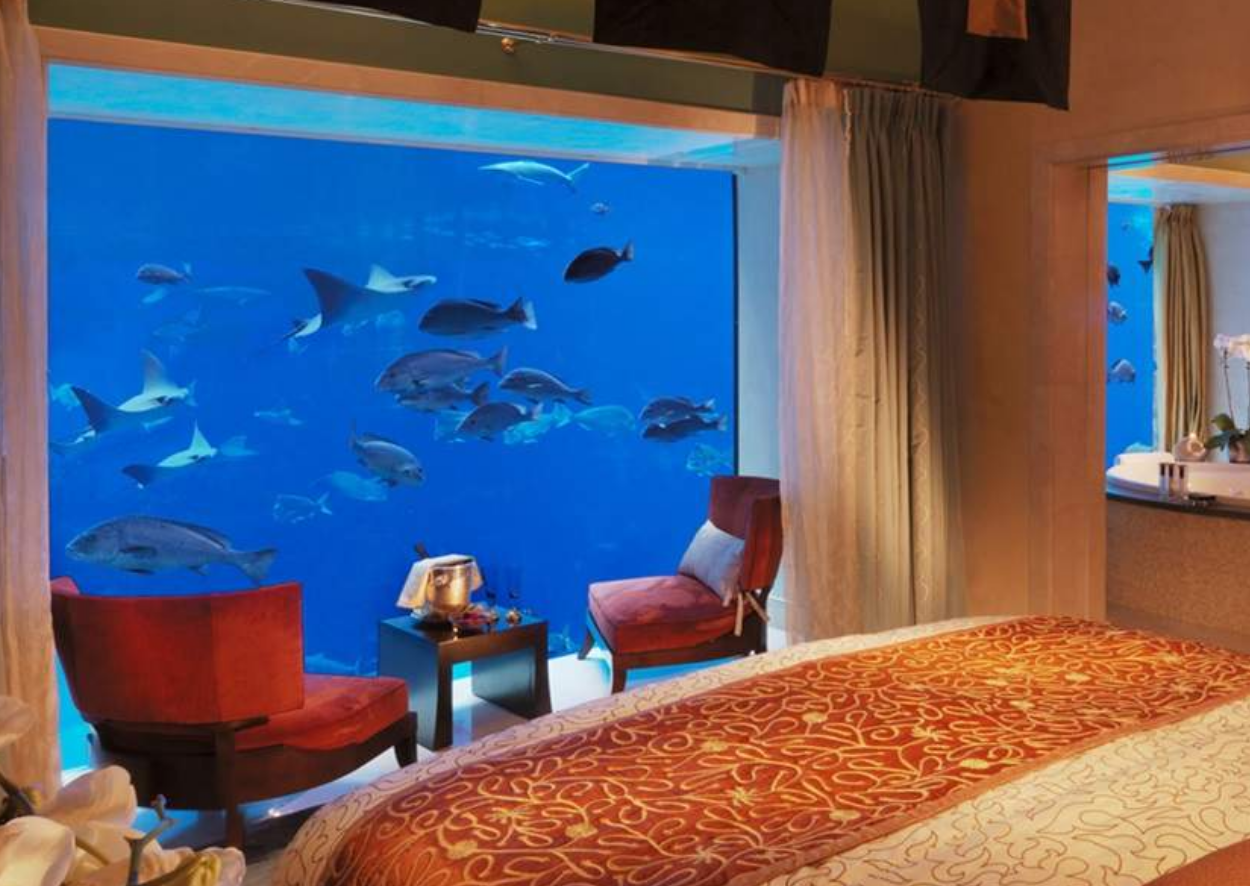 Атлантис Дубай. Атлантис Дубай подводный отель. Отель Атлантис Дубай океанариум. Atlantis the Palm Dubai 5.