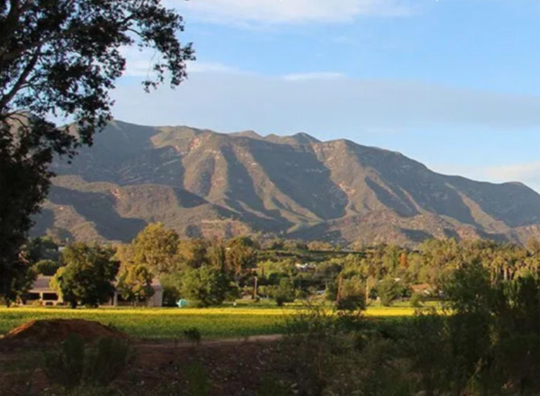 A Day of Renewal in Ojai