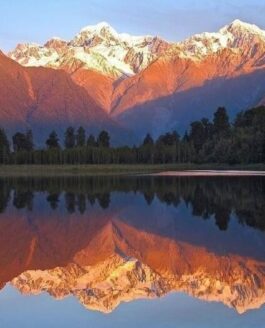 New Zealand: Glacier Valley Eco Tours