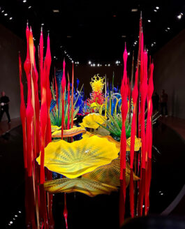 Chihuly Garden and Glass, MoPOP, Seattle WA