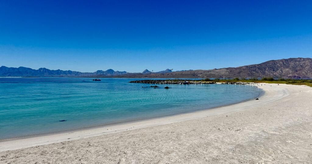 Guaycura Adventures Coronado Island