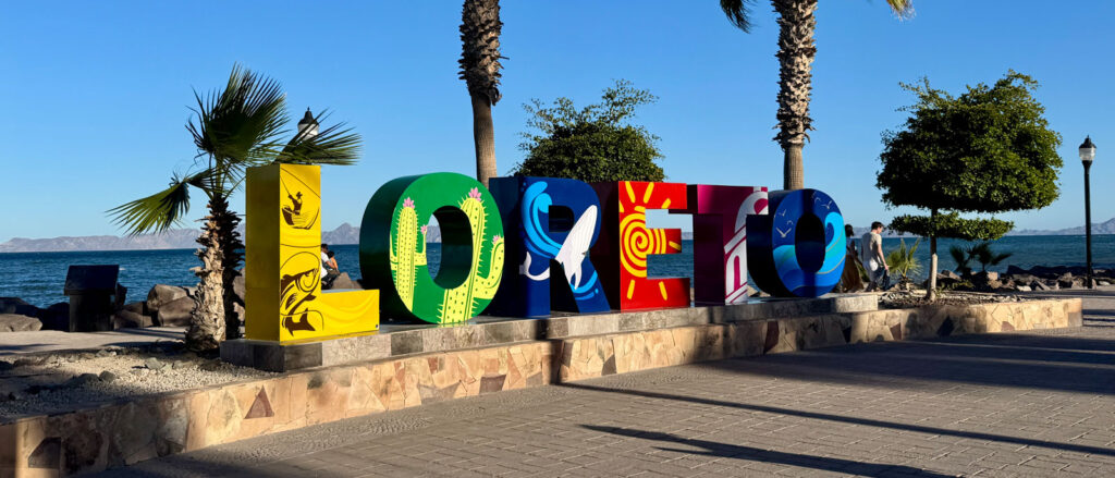 Whale Watching Loreto Mexico