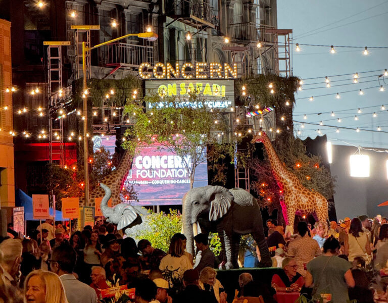 Concern Foundation 2026